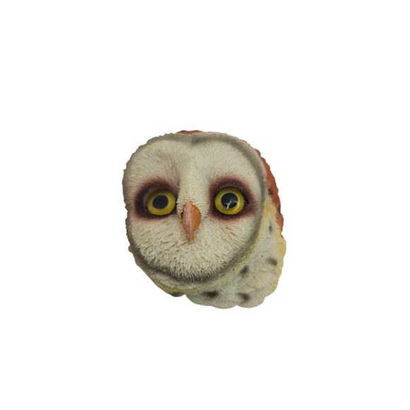 Set of 2 Realistic Owl Magnets 3D Resin Hand Painted Birds Woodland Fridge Decor - Picture 5 of 8